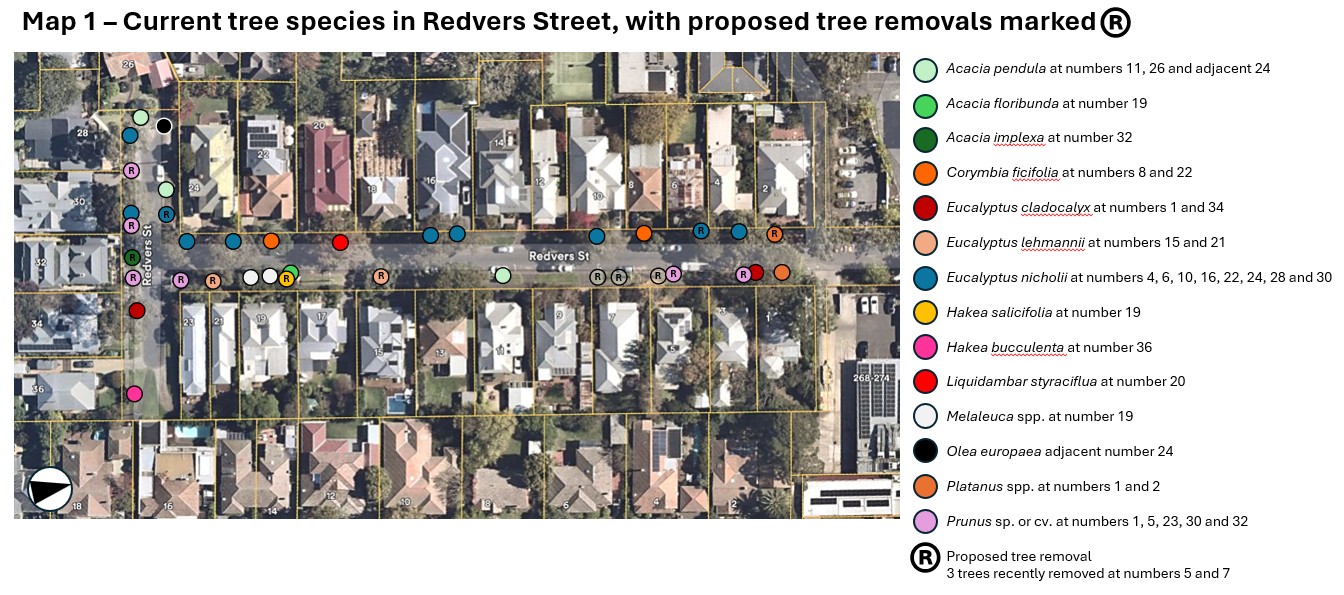Redvers Map Street trees consultation for Redvers St, Surrey Hills | Your Say ...